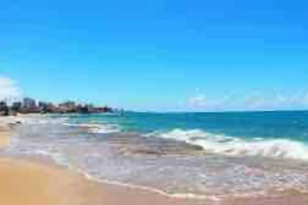 Hidden Gem Steps To Beach contacts